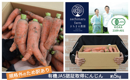 訳あり 規格外 にんじん 約5kg 有機JAS認証取得 栽培期間中農薬 除草剤 化学肥料不使用 野菜 食材 緑黄色野菜 国産野菜 えぐみがない 甘い人参 産地直送 キャロット ベジタブル