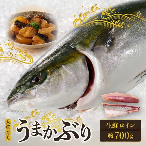 S137-010_【天草育ち】活じめ！うまかぶり生鮮ロイン2節 約700g（切るだけ、手間いらず）