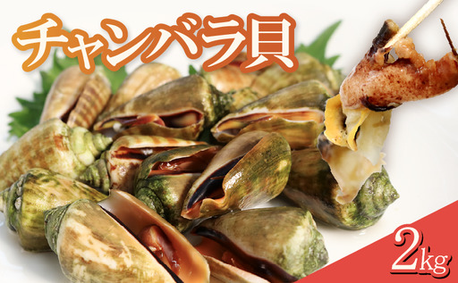 チャンバラ貝 2kg 貝