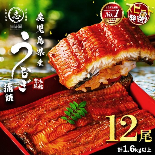 【数量限定】鹿児島県産うなぎ蒲焼 名水慈鰻 12尾(1尾約120g以上)＜計約1.6kg以上＞ うなぎ 鰻 ウナギ 国産 鹿児島県産 九州産 蒲焼き 冷凍 うな重 ひつまぶし f2-003