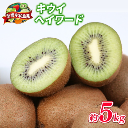 【キウイ】キウイ フルーツ 5kg 吉田農園 家庭用 | F014-160001