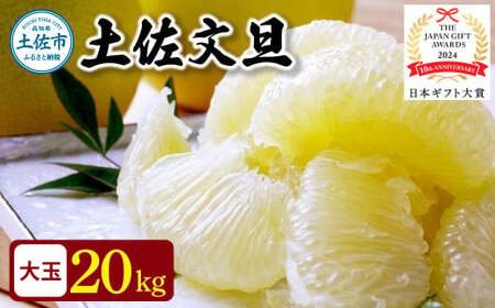 [先行予約]日本ギフト大賞2024受賞!園主こだわりの土佐文旦 約20kg(10kg:17?24玉×2箱) 高知県土佐市 [やの一果彩] [BQAC008]