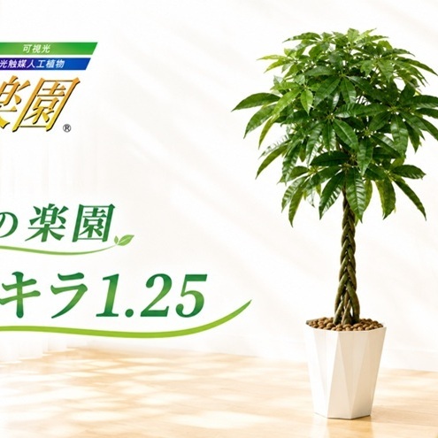 光の楽園 パキラ1.25[配送不可:北海道・沖縄・離島] 雑貨 日用品 植物 造花