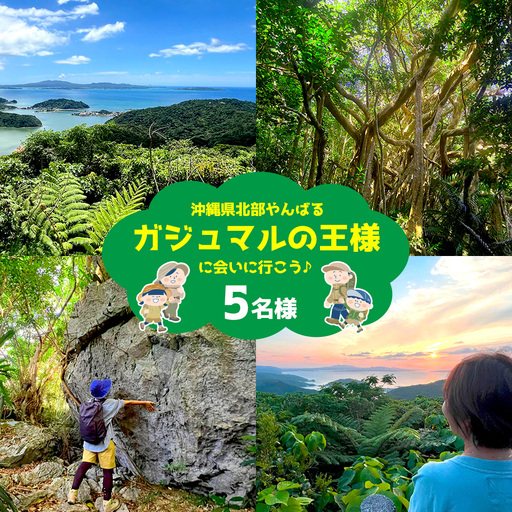 沖縄県北部やんばる・ガジュマルの王様に会いに行こう♪【5名様】