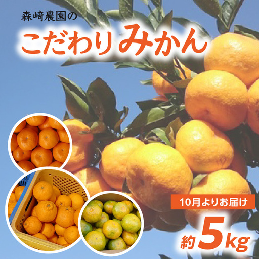 森﨑農園のこだわりみかん 約5kg 極早生～ 早生～蔵出しまで C09023