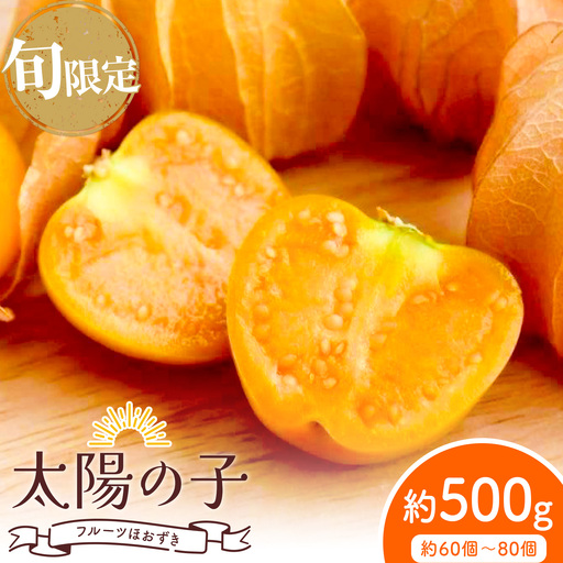 [先行予約]フルーツ ほおずき 太陽の子 約500g ホオズキ 北海道
