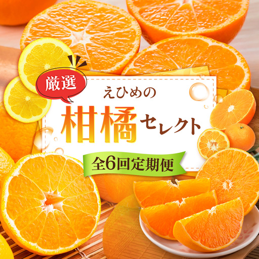 [全6回定期便]みかんえひめの柑橘セレクト定期便 / フルーツ 果物 蜜柑 ミカン オレンジ 小玉 甘い 愛媛 定期便 / 愛媛県砥部町/一般社団法人愛媛県観光物産協会[BJCE001]