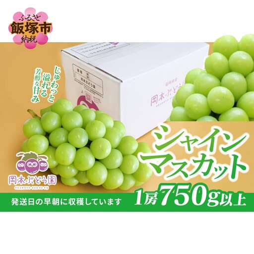 シャインマスカット 約750g