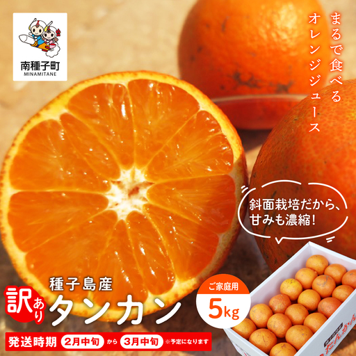 《 先行予約 》種子島産 タンカン (ご家庭用) 約5kg (24玉～36玉)【2027年2月中旬～3月中旬頃順次発送】【訳あり】【南種子町果樹部会】