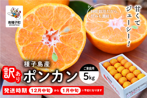 [ 先行予約 ]種子島産 ポンカン (ご家庭用) 約5kg (24玉〜36玉) [2026年12月中旬頃〜1月中旬頃順次発送][訳あり][南種子町果樹部会]
