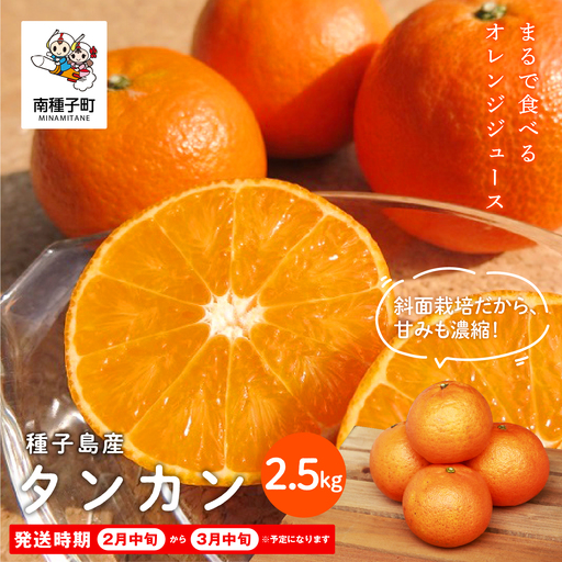 《 先行予約 》種子島産タンカン約2.5kg（12～18玉） 【2027年2月中旬～3月中旬頃順次発送】【南種子町果樹部会】