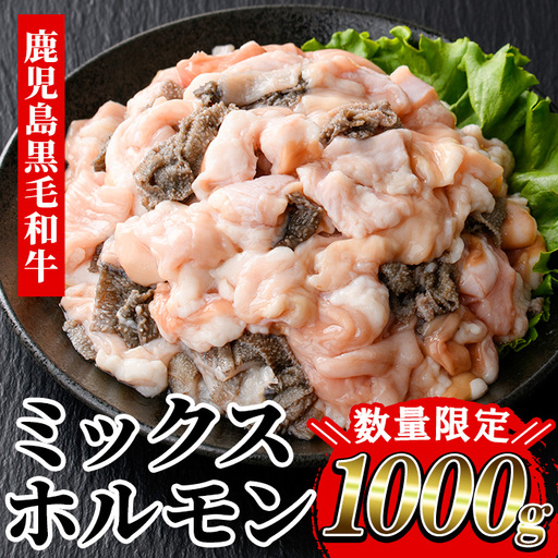 ≪数量限定≫鹿児島県産黒毛和牛ミックスホルモン (計1000g 400g×2+200g) ホルモン [00-030-04-L]
