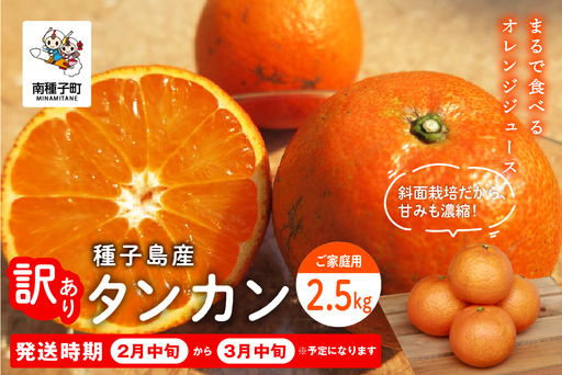 《 先行予約 》種子島産 タンカン (ご家庭用)約2.5kg（12～18玉）【2027年2月中旬～3月中旬頃順次発送】【訳あり】【南種子町果樹部会】