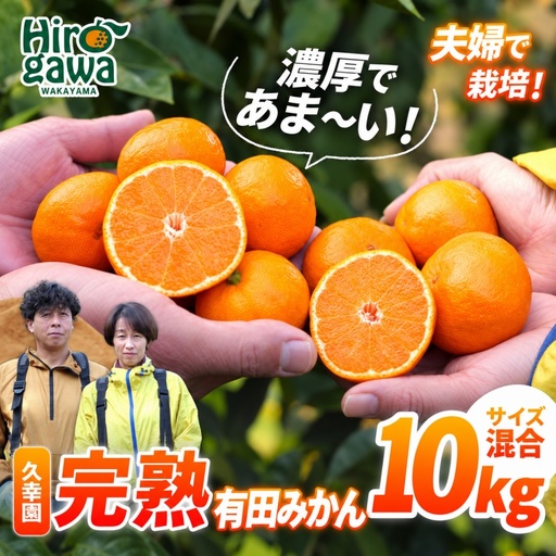 完熟 有田 みかん 訳あり 10kg 久幸園 / 温州みかん 有田みかん 甘い 家庭用 和歌山 柑橘 ※2026年11月～2027年1月下旬に順次発送 【hsk004-c-10C】
