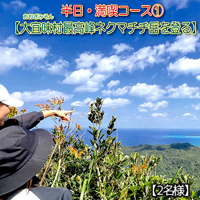 沖縄県北部やんばる・大宜味村最高峰ネクマチヂ岳を登る【2名様】