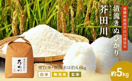 キヌヒカリ 精米 奥播州源流 芥田川産 農家直送 キヌヒカリ【5kg】【先行予約】 玄米
