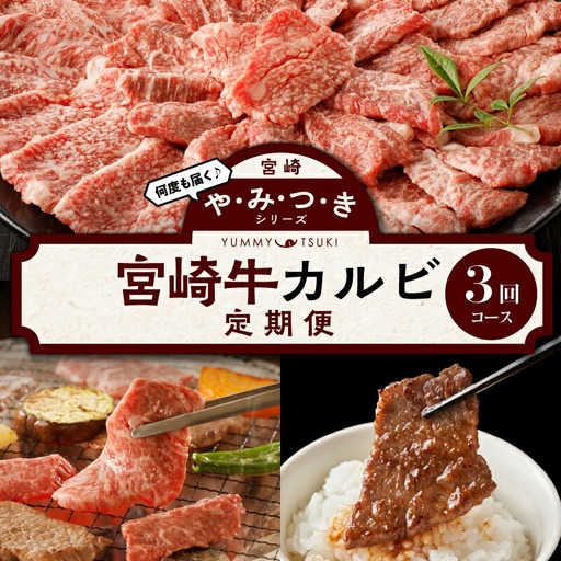 やみつきシリーズ 宮崎牛カルビ定期便 肉 牛 牛肉 カルビ