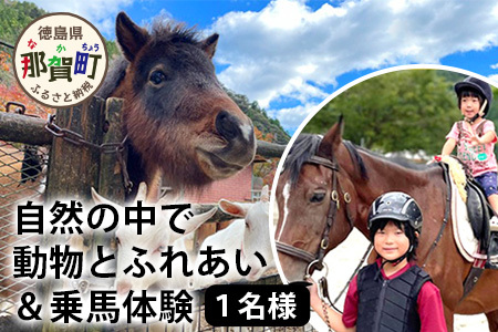 自然の中で動物とふれあい&乗馬体験 1名[徳島県 那賀町 乗馬 馬 動物 体験チケット 体験型 観光 ふれあい 観光 旅行 遊び アクティビティ お出かけ レジャー アウトドア アニマルセラピー 癒し リフレッシュ クラブコルツ]CC-1