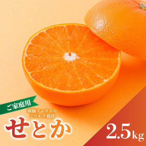 【2027年2月下旬から順次発送】せとか B品 家庭用 2.5kg | セトカ みかん 蜜柑 柑橘 甘い 高級 果物 フルーツ おすすめ 人気 愛媛三大柑橘（ 紅まどんな せとか 甘平 ） 愛媛 松山【RNK0042】