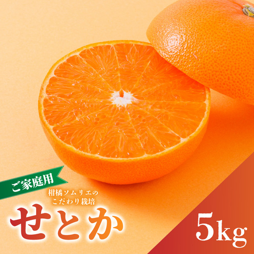 【2027年2月下旬から順次発送】せとか B品 家庭用 5kg | セトカ 愛媛産 愛媛県産 国産 愛媛みかん 愛媛蜜柑 愛媛ミカン みかん ミカン mikan 蜜柑 柑橘 フルーツ 果物 くだもの お取り寄せ 産地直送 数量限定 人気 おすすめ 愛媛三大柑橘（ 紅まどんな せとか 甘平 ） 愛媛県 松山市【RNK0052】