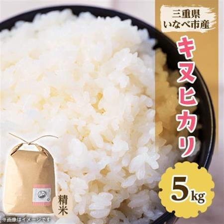 令和8年産　特別栽培米キヌヒカリ 5kg【1431743】