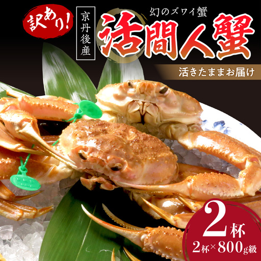 【訳あり！！幻のズワイ蟹】　京丹後産　活間人蟹　鮮度抜群、活きたままお届け！！ 800g級（足1本落ち）×2杯