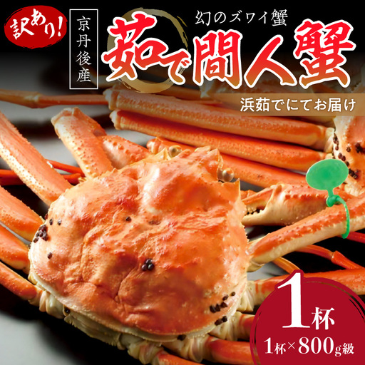 【訳あり！！幻のズワイ蟹】　　京丹後産　茹で間人蟹　鮮度抜群、浜茹でにてお届け！！ 800g級（足1本落ち）×1杯 