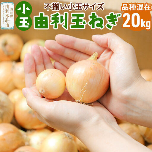 [先行受付]由利本荘市産 由利玉ねぎ(小玉)20kg[品種混在]