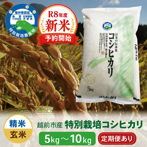 【令和8年度新米 玄米】特別栽培 越前市産コシヒカリ 10kg