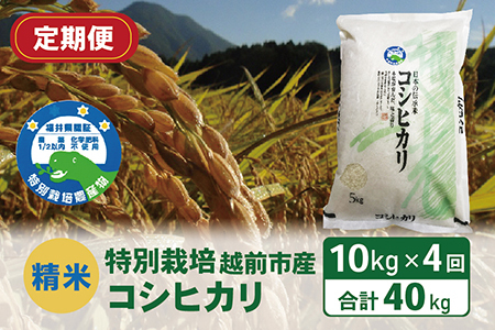【定期便4回】（令和6年度新米 精米）特別栽培 越前市産コシヒカリ 10kg×４回