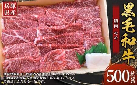 牛肉 兵庫県産 黒毛和牛 焼肉 モモ 約500g×1パック 肉 ニク にく 牛