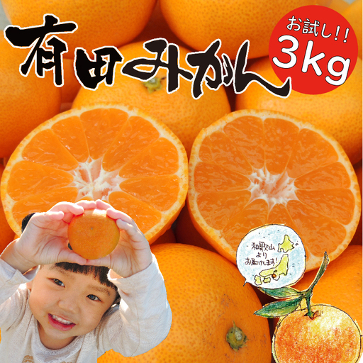 「はじめまして 有田みかん（和歌山県湯浅町産）」 お試し 約3kg ／ORYY推奨商品_DA6101n