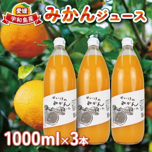 みかんジュース 1,000ml×3本 清家 ジュース H014-170001