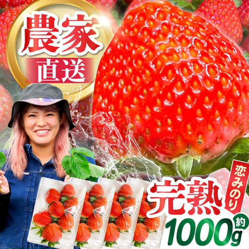 【2027年1月-発送】 250g×4P 恋みのりいちご [SFF001] いちご
