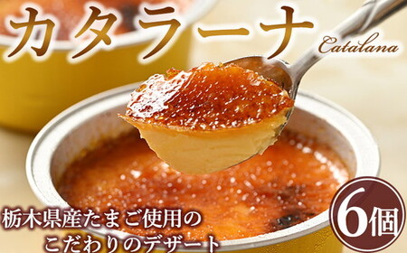 真面目にカタラーナ ※着日指定不可 ※北海道・沖縄・離島への配送不可
