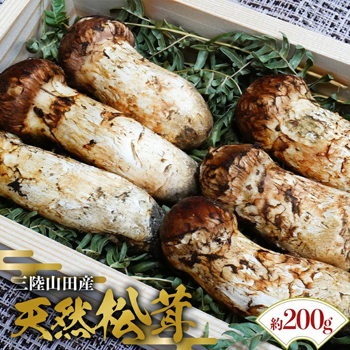 ［先行予約］松茸 200g 松茸［期間限定］