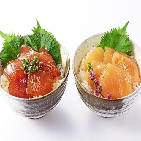 【 羽床 で 人気 の づけ丼食べ比べ 】 づけ丼 2種詰合せ（nc211） M019-006 冷凍 マグロ