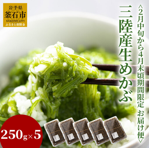 fn-39-012 三陸産生めかぶ【2月中旬から４月末頃お届け便】 ヤマキイチ商店