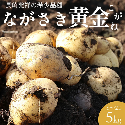 BH048 じゃがいも 希少品種 ながさき黄金 S?2Lサイズ混合 約5kg