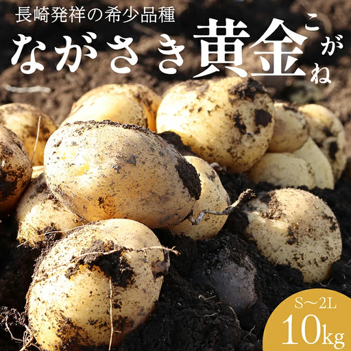 BH049 じゃがいも 希少品種 ながさき黄金 S?2Lサイズ混合 約10kg