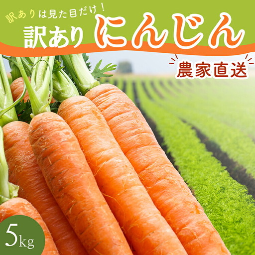 BH051 人参 訳あり 堀農園のこだわり人参 約5kg