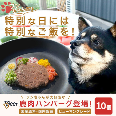 鹿肉 犬用 10個 約50g 加工食品 お肉 鹿肉
