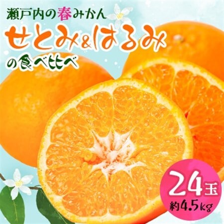 せとみ&はるみの食べ比べ_果物・フルーツ 柑橘 _