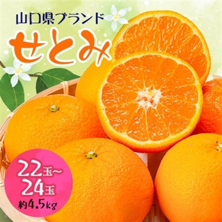 [山口県ブランド]せとみ 22〜24玉(約4.5kg)_果物・フルーツ 柑橘 _