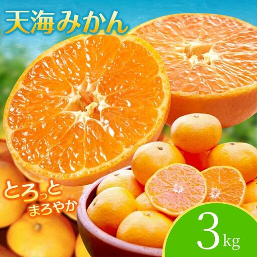 【先行予約】完熟早生みかん　宮川早生３kg※2026年12月から順次発送予定※ 【期間限定・12/20まで受付】/ 和歌山県 ミカン フルーツ 果物 柑橘 田辺市 【nak005-1】