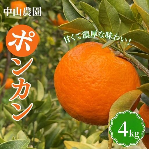 【先行予約】【期間限定】中山農園のポンカン１kg※1月から順次発送予定※ / 和歌山県 ぽんかん フルーツ 果物 柑橘 田辺市 【nak008】