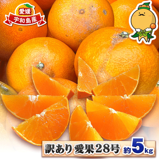 【紅まどんなと同品種】 訳あり まどんな 愛果28号 5kg 中井屋 みかん B015-173001