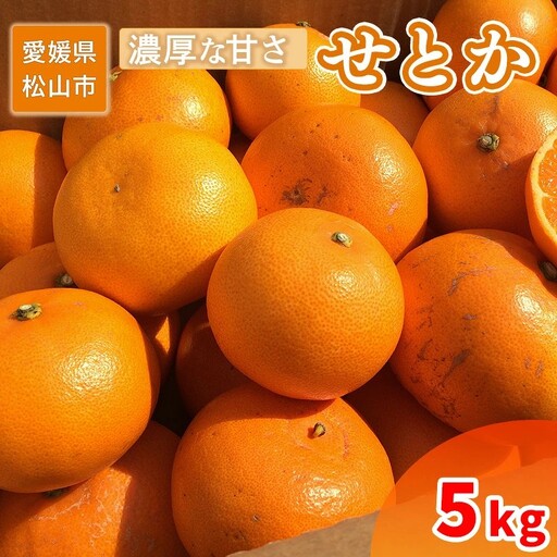 【2027年2月中旬頃から順次発送】 家庭用 せとか 5kg | 訳あり 蜜柑 高級 果物 甘い フルーツ みかん ミカン オレンジ 柑橘 食べて応援 特産品 愛媛 松山 【SU0092】