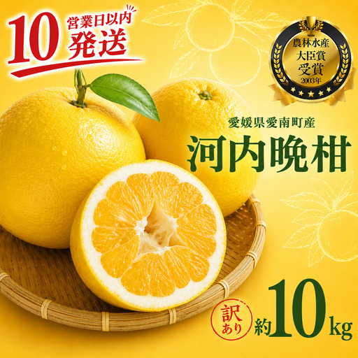 [10営業日以内発送] [訳あり] 河内晩柑 9kg + 傷み保証 約1kg 計10kg 愛南ゴールド みかん フルーツ 愛媛 愛南 吉本農園
