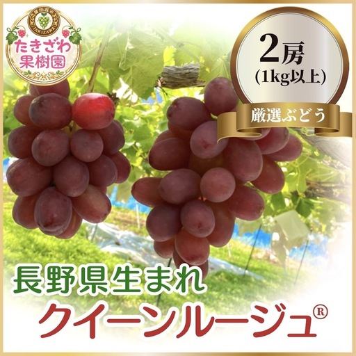 クイーンルージュ🄬 2房 1kg以上 長野 ぶどう 希少品種 ブドウ 果物 フルーツ デザート 新品種 食感 パリッ 爽やか 甘さ 超希少 種無し 皮ごと 